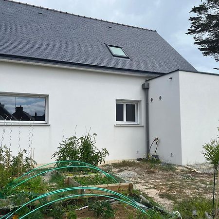 Maison Tamaris Avec Jardin Et Clos Quiberon Eksteriør bilde